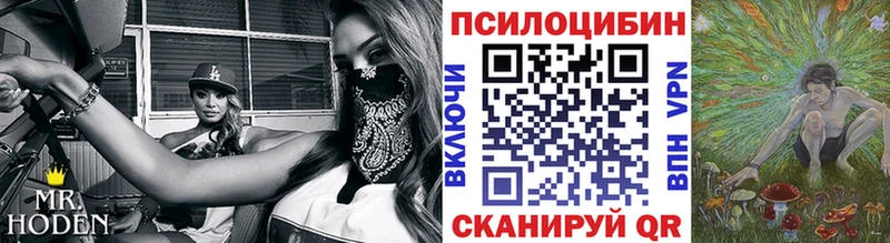 Галлюциногенные грибы прущие грибы  где продают наркотики  Кандалакша 