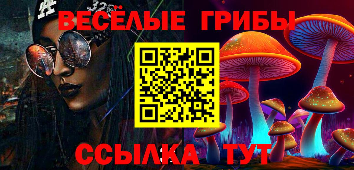 Псилоцибиновые грибы Cubensis Кандалакша