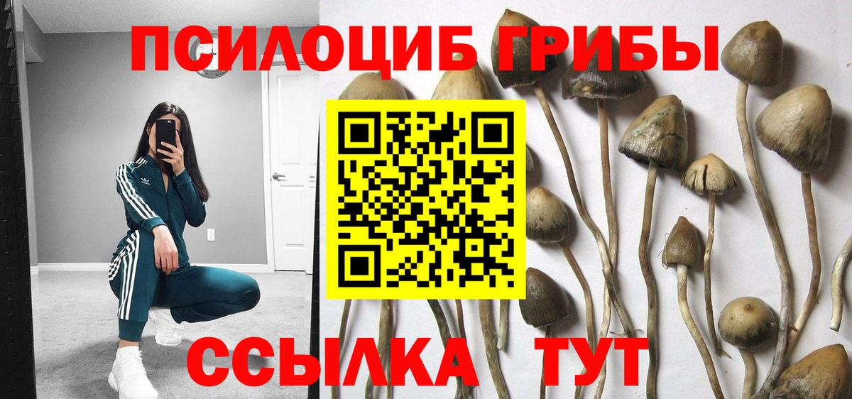 Галлюциногенные грибы Cubensis  Вход с VPN  Кандалакша  купить  цена  Галлюциногенные грибы мицелий 